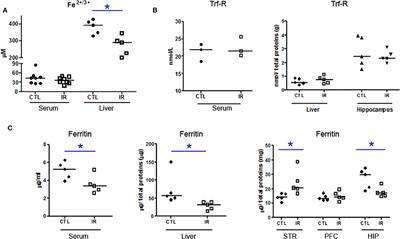 Iron-Restricted Diet Affects Brain Ferritin Levels, Dopamine Metabolism and Cellular Prion Protein in a Region-Specific Manner